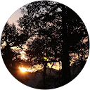 preksha sirsikar profile picture